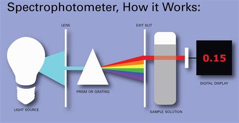 what does a spectrophotometer do